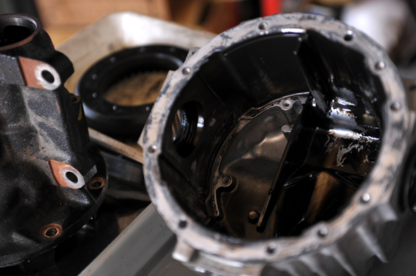 120615 kuma1 DSC_7065.jpg